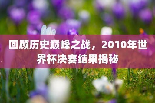回顾历史巅峰之战，2010年世界杯决赛结果揭秘丹东日丰电子有限公司