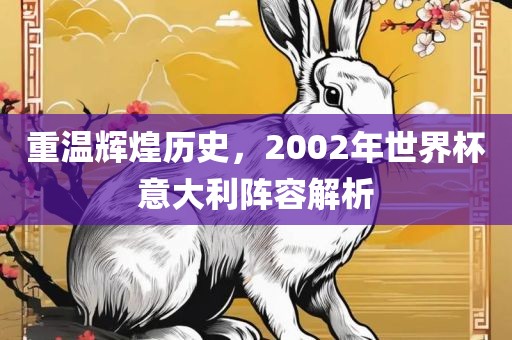 重温辉丹东日丰电子有限公司煌历史，2002年世界杯意大利阵容解析