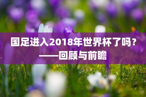 国足进入2018年世界杯了吗？——回顾与前瞻