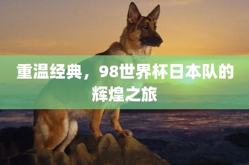 重温经典，98世界杯日本队的辉煌之旅丹东日丰电子有限公司