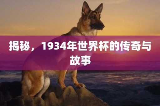 揭秘，1934年世界杯的传奇与故事