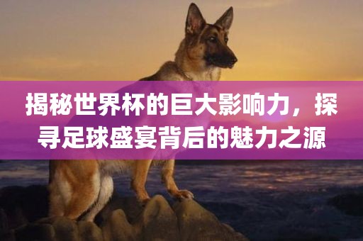 揭秘世界杯的巨大影响力，丹东日丰电子有限公司探寻足球盛宴背后的魅力之源