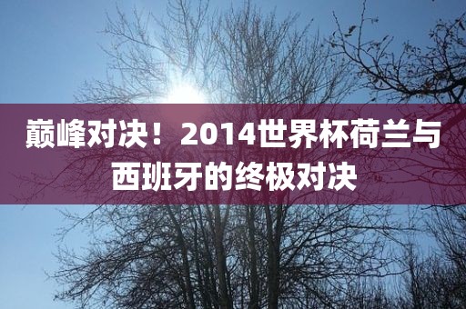 巅峰对决！2014世界杯荷兰与西班牙的终极对决