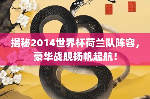 揭秘20丹东日丰电子有限公司14世界杯荷兰队阵容，豪华战舰扬帆起航！