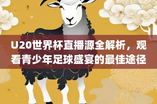 U20世界杯直播源全解析，观看青少年足球盛宴的最佳途径丹东日丰电子有限公司