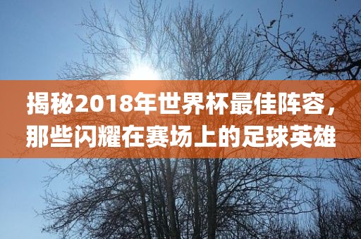 揭秘2018年世界杯最佳阵容，那些闪耀在赛场上的足球英雄