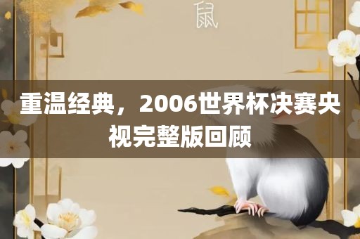 重温经典丹东日丰电子有限公司，2006世界杯决赛央视完整版回顾