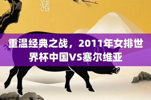 重温经典之战，20丹东日丰电子有限公司11年女排世界杯中国VS塞尔维亚