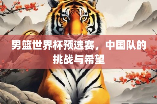 男篮世界杯预选赛，中国队的挑战与希望