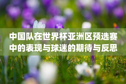 中国队在世界杯亚洲区预选赛中的表现与球迷的期待与反思