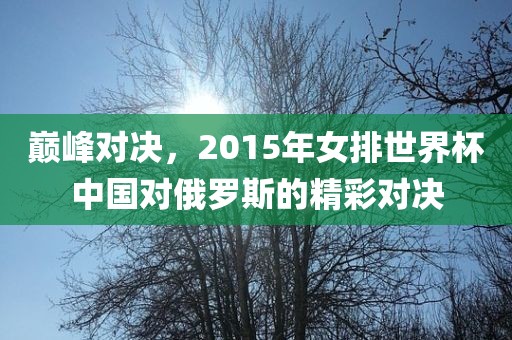 巅峰对决，2015年女排世界杯中国对俄罗斯的精彩对决丹东日丰电子有限公司