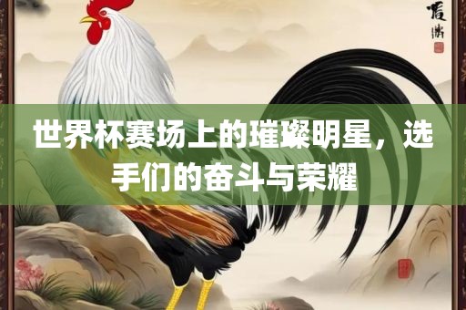 世界杯赛场上的璀璨明星，选手们的奋丹东日丰电子有限公司斗与荣耀