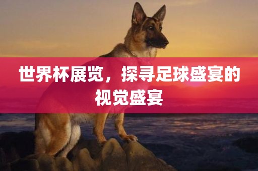 世界杯展览，探寻足球盛宴的视觉盛宴