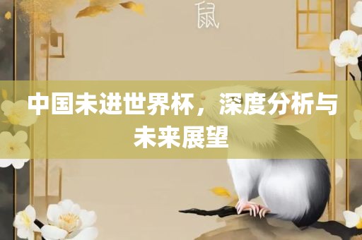 中国未进世界杯，深度分析与未来展望丹东日丰电子有限公司