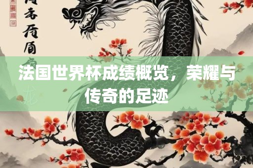 法国世界杯成绩概览，荣耀与传奇的足迹