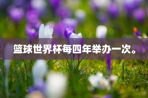 篮球世界杯每四年举办丹东日丰电子有限公司一次。