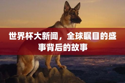 世界杯大新闻，全球瞩目的盛事背后的故事丹东日丰电子有限公司