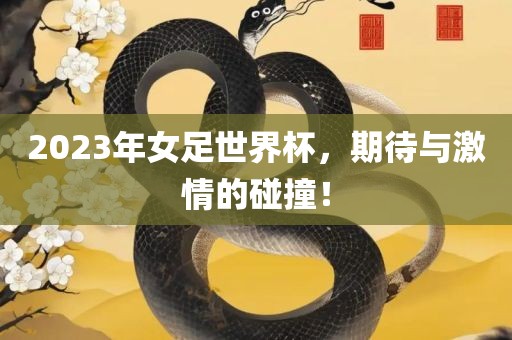 2023年女足世界杯，期待与激情的碰撞！丹东日丰电子有限公司