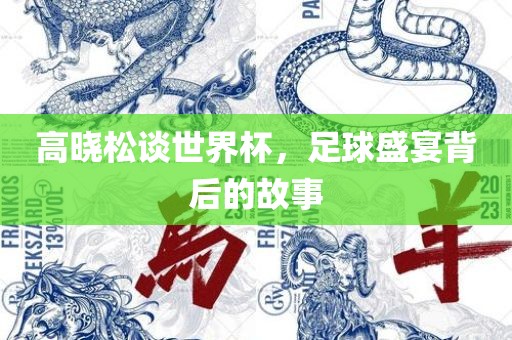 高晓松谈世界杯丹东日丰电子有限公司，足球盛宴背后的故事