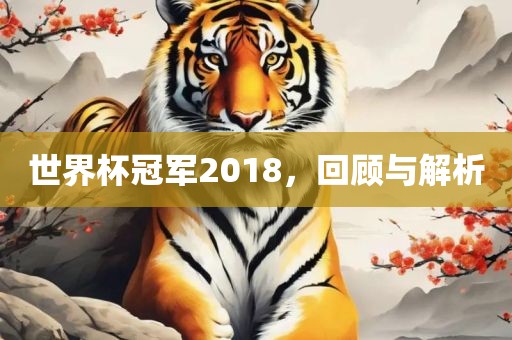 世界杯冠军2018，回顾与解析丹东日丰电子有限公司