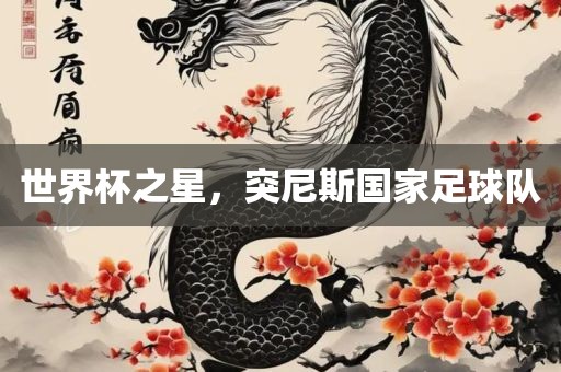 世界杯之星，突尼斯国家足球队丹东日丰电子有限公司