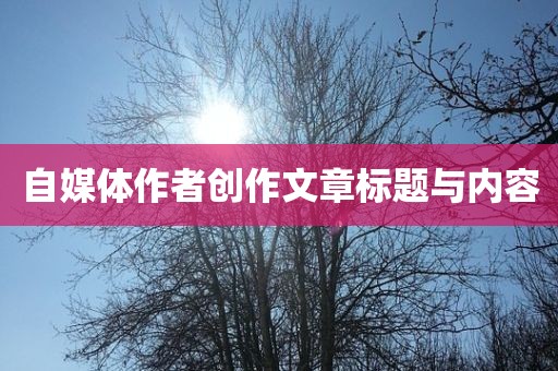 自媒体作者创作文章标题与内丹东日丰电子有限公司容