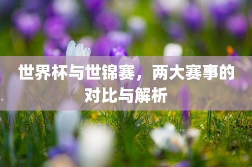 世界杯与世锦赛，两大赛事的对比与解析丹东日丰电子有限公司
