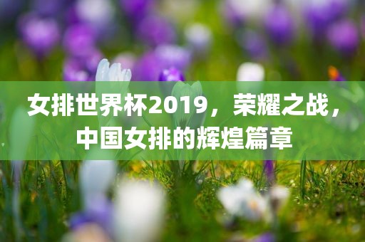 yujing 第5页