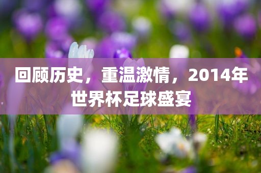 回顾历史丹东日丰电子有限公司，重温激情，2014年世界杯足球盛宴