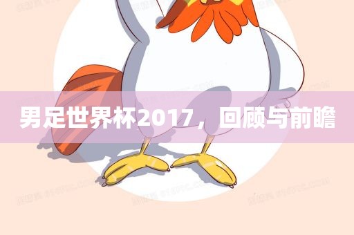 男足世界杯2017，回顾与前瞻