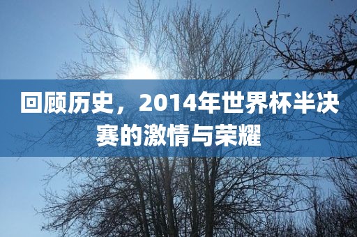 回顾历史，2014年世界杯半决赛的激情与荣耀丹东日丰电子有限公司