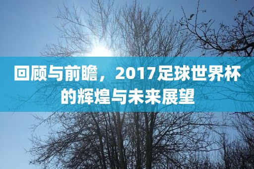 回顾与前瞻，2017足球世界杯的辉煌与未丹东日丰电子有限公司来展望