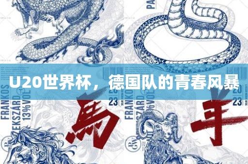 U20世界杯，德国队的青春风暴