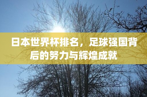日本世界杯排名，足球强国背后的努力与辉煌成就丹东日丰电子有限公司