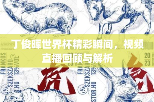 丁俊晖世界杯精彩瞬间，视频直播回顾与解析丹东日丰电子有限公司