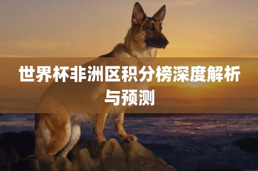 世界杯非洲区积分榜深度解析与预测