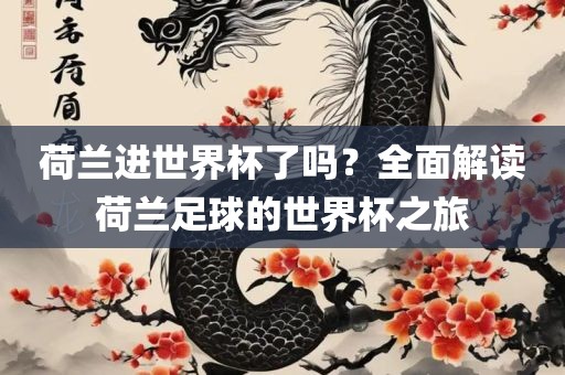 荷兰进世界杯了吗？全面解读荷兰足球的世界杯之旅丹东日丰电子有限公司