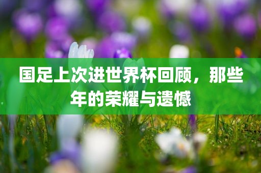 国足上次进世界杯回顾，那些年的荣耀与遗憾