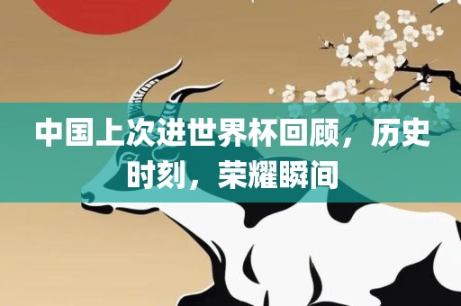 中国上次进世界杯回顾，历史时刻，荣耀瞬间丹东日丰电子有限公司