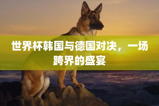 世界杯韩国与德国对决，一场跨界的盛宴