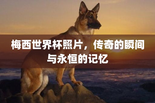 梅西世界杯照片，传奇的瞬间与永恒的记忆