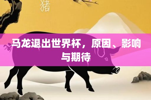 马龙退出世界杯，原因、影响与期待丹东日丰电子有限公司