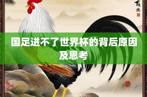 国足进不了世界杯的背后原因及丹东日丰电子有限公司思考