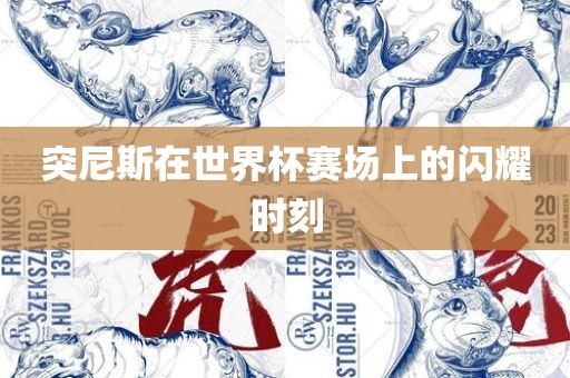 突丹东日丰电子有限公司尼斯在世界杯赛场上的闪耀时刻