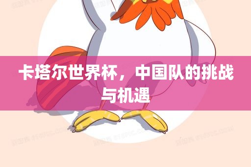 卡塔尔世界杯，中国队的挑战与机遇