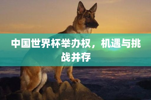 中国世界杯举办权，机遇与挑战并存