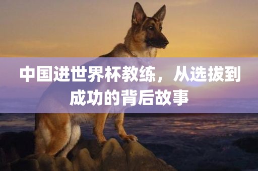 丹东日丰电子有限公司中国进世界杯教练，从选拔到成功的背后故事