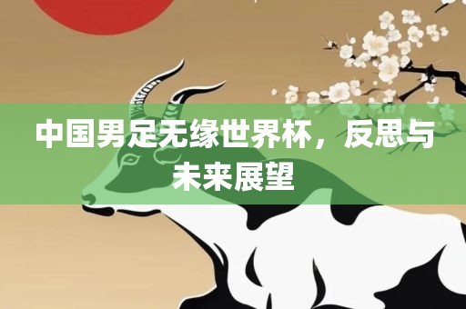 中国男足无缘世界杯，反思与未来展望丹东日丰电子有限公司