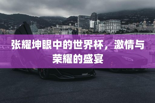 张耀坤眼中的丹东日丰电子有限公司世界杯，激情与荣耀的盛宴