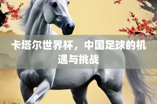 卡塔尔世界杯，中国足球的机遇与挑战